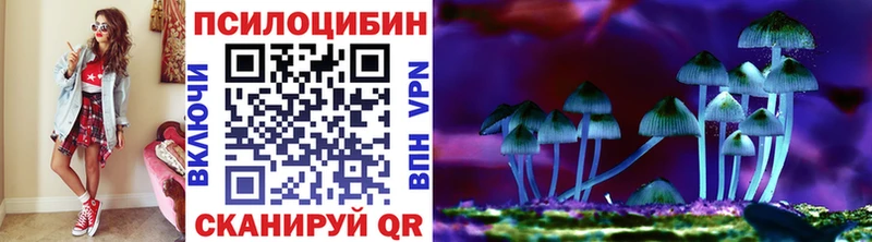 Псилоцибиновые грибы прущие грибы  Ставрополь 