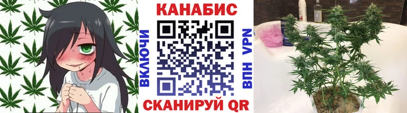 Бошки Шишки White Widow  Ставрополь 
